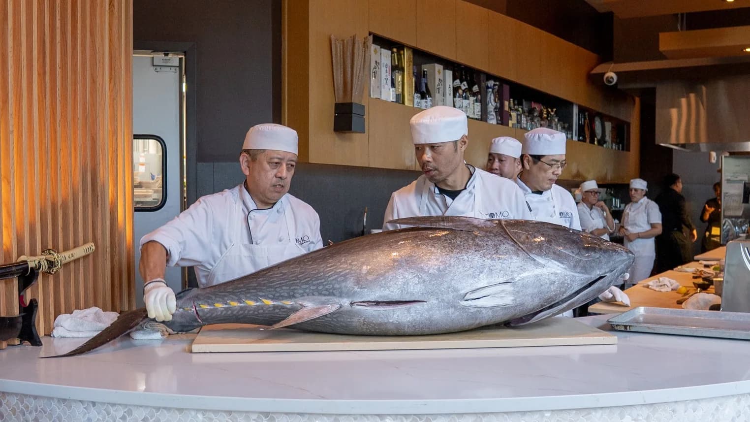 Bluefin Tuna Experience in Atlanta