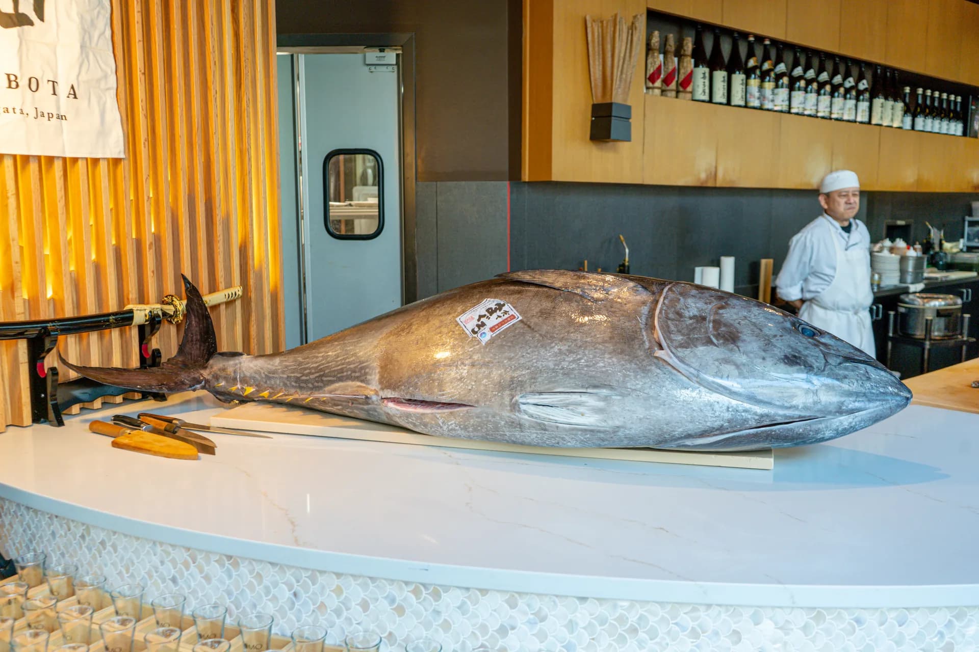 Blue Fin Tuna Experience Atlanta: A Study in Craft, Flavor, and Precision